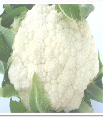 cauliflower-early-basant