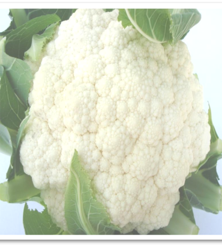 cauliflower-early-basant